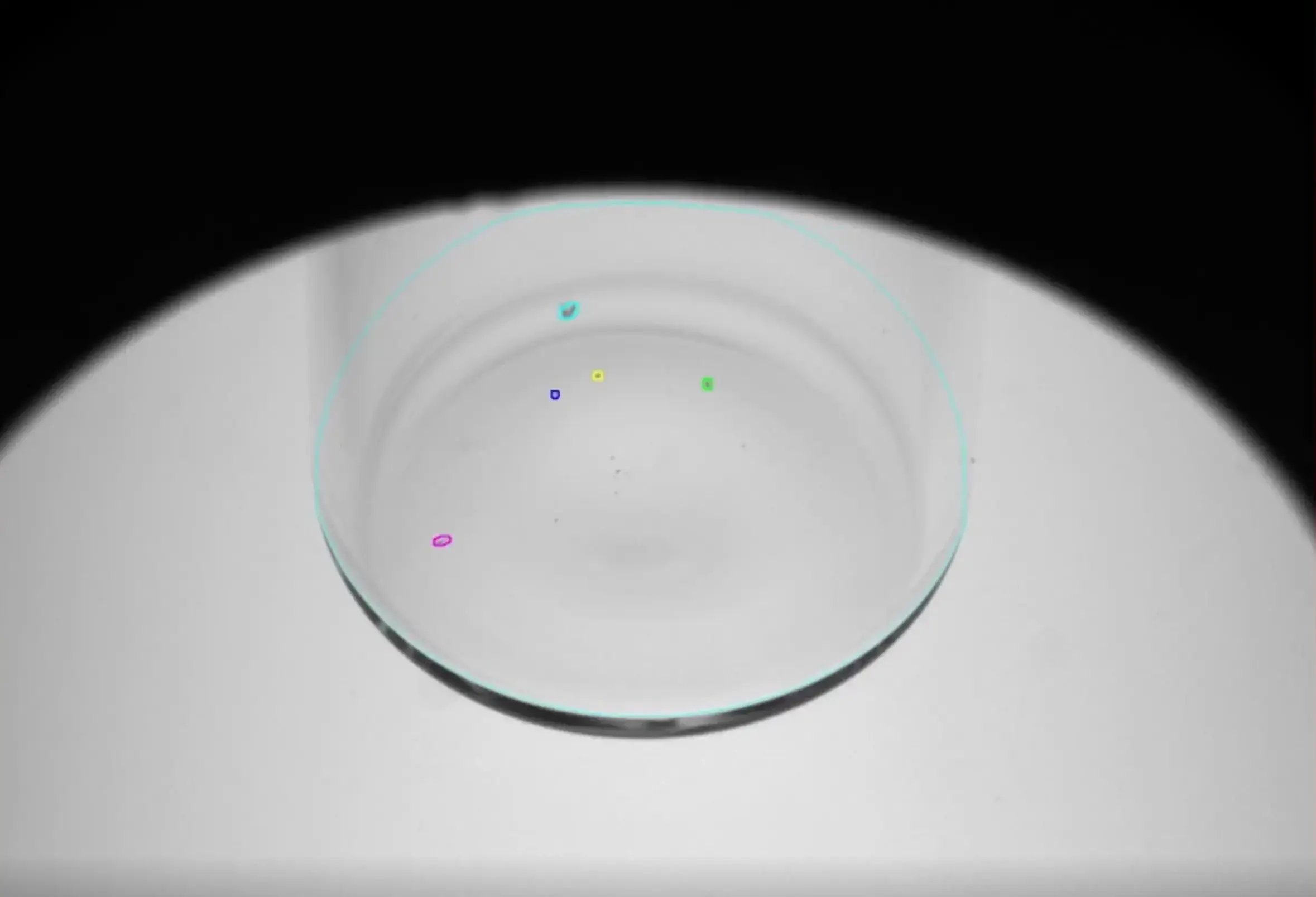 glass fragments identification